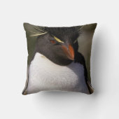 南極、南極亜諸島、南5 クッション (裏面)