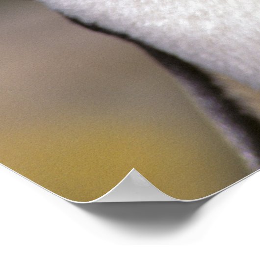 南極、南極亜諸島、南5 ポスター (角)