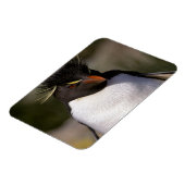 南極、南極亜諸島、南5 マグネット (左側)