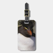 南極、南極亜諸島、南5 ラゲッジタグ (正面縦)