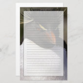 南極、南極亜諸島、南5 便箋 (正面/裏面)