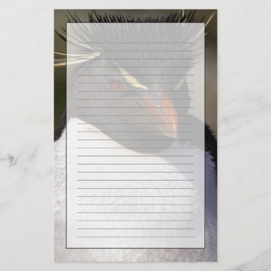 南極、南極亜諸島、南5 便箋 (正面)