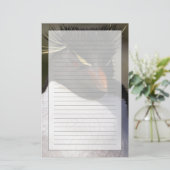 南極、南極亜諸島、南5 便箋 (スタンド正面)