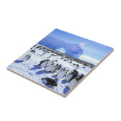 南極、南極半島、ウェッデル海5 タイル (側面)