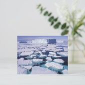 南極、氷の流れ。 ポストカード (スタンド正面)