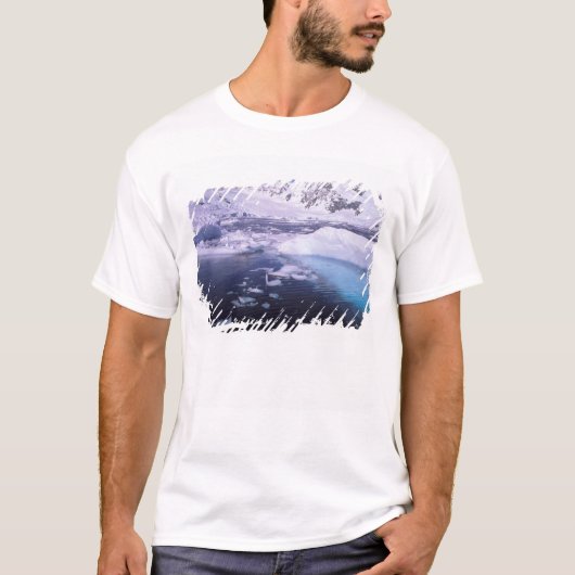 南極。氷の風景を通した探検 Tシャツ (正面)