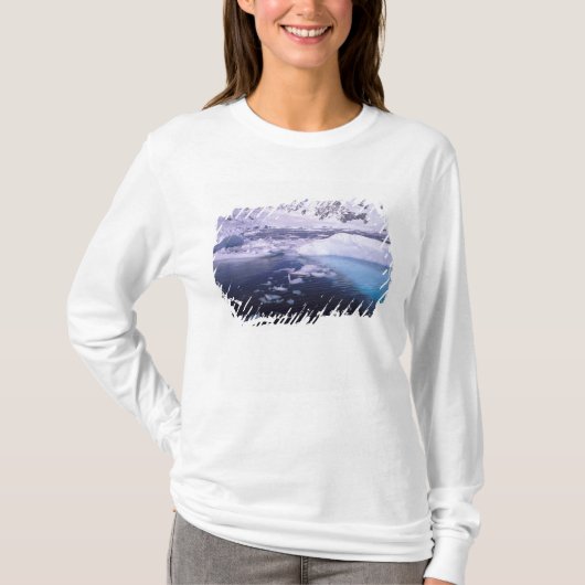 南極。氷の風景を通る探検 Tシャツ (正面)