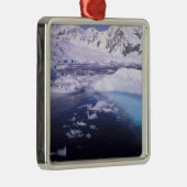 南極.脱走の遠征 メタルオーナメント (右)