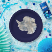 南極（NASAブルーマーブルイメージ） ペーパープレート (パーティー)