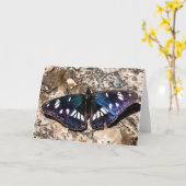 南白提督ブルーバタフライ絵画ズ カード (黄色い花)