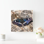 南白提督ブルーバタフライ絵画ズ スクエア壁時計 (ホーム)