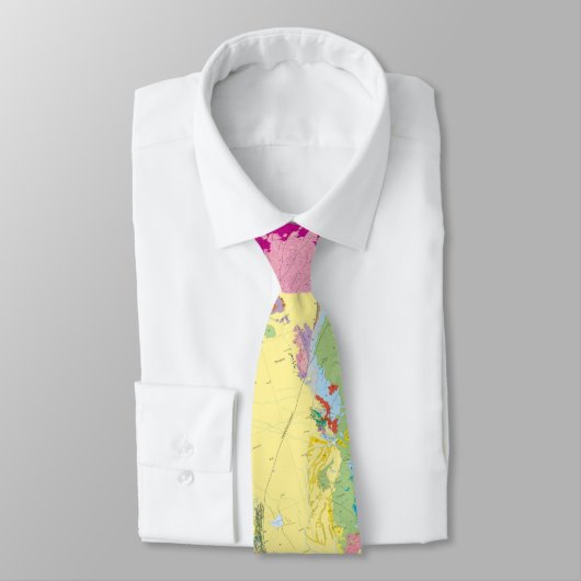 南米の地質図 ネクタイ (タイ)