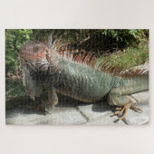 南米の大型トカゲのイグアナ写真デザイン ジグソーパズル (横)