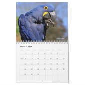 南米の様々な動物12ヶ月カレンダー カレンダー (3月 2026)