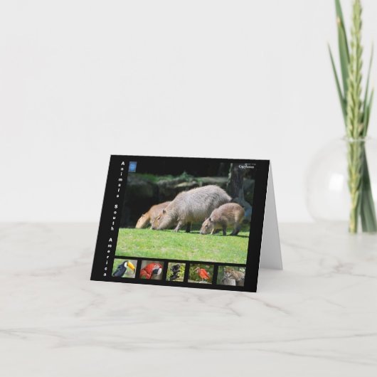 南米の様々な動物 サンキューカード (正面)