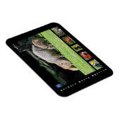 南米の様々な動物 マグネット (右側)