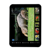 南米の様々な動物 マグネット (縦)