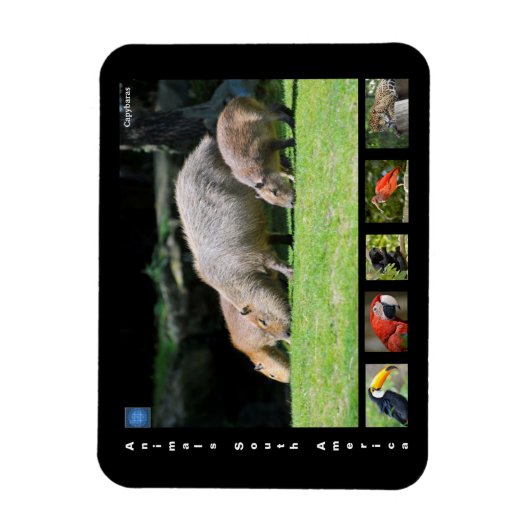 南米の様々な動物 マグネット (縦)