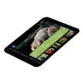 南米の様々な動物 マグネット (左側)