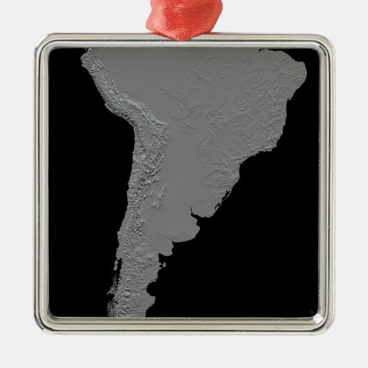 南米の立体視 メタルオーナメント (正面)