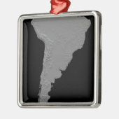 南米の立体視 メタルオーナメント (左)