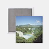 南米の風光明媚なイグアス秋 マグネット (正面/裏面)