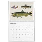 南米の魚2026 カレンダー (3月 2026)