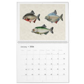 南米の魚2026 カレンダー (1月 2026)
