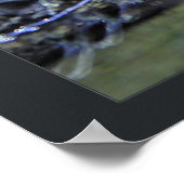 南米カイマン ポスター (角)