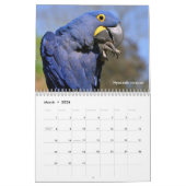 南米カレンダーの様々な動物 カレンダー (3月 2026)