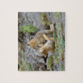 南米グレーキツネ(Lycalopex griseus)ペア2 ジグソーパズル (縦)