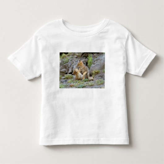 南米グレーキツネ(Lycalopex griseus)ペア2 トドラーTシャツ (正面)