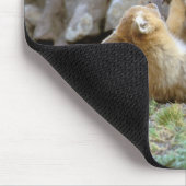 南米グレーキツネ(Lycalopex griseus)ペア2 マウスパッド (コーナー)