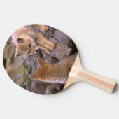 南米ネコギツネ (Lycalopex griseus) ペア 卓球ラケット (横)