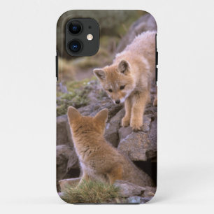 南米ネコギツネ (Lycalopex griseus) ペア iPhone 11 ケース