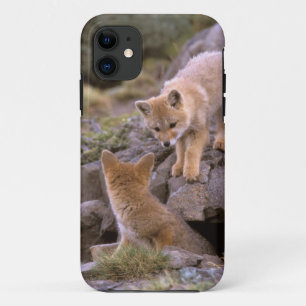 南米ネコギツネ (Lycalopex griseus) ペア iPhone 11 ケース
