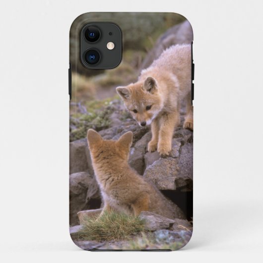 南米ネコギツネ (Lycalopex griseus) ペア Case-Mate iPhoneケース (裏面)
