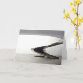 南米ブラジルブラジリア内部 カード (黄色い花)