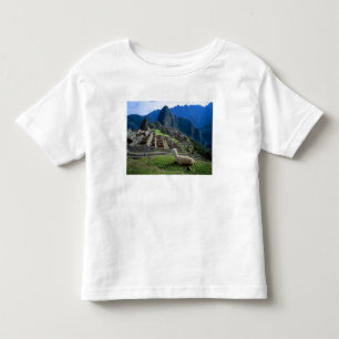 南米ペルー。丘で休むラマ トドラーTシャツ