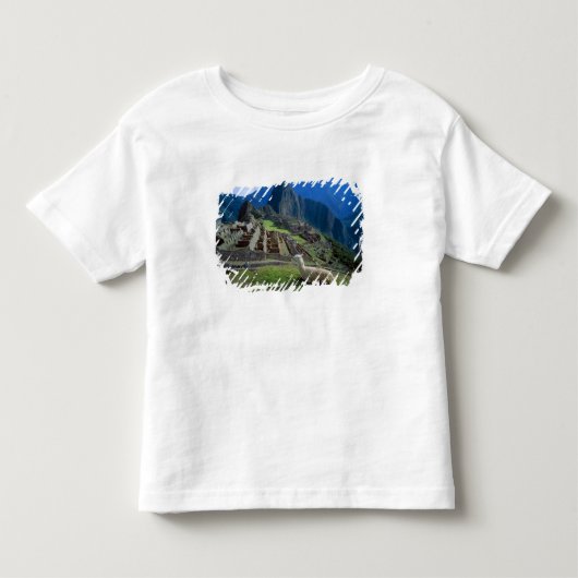 南米ペルー。丘で休むラマ トドラーTシャツ (正面)