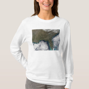 南米国 Tシャツ