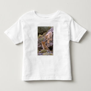 南米灰色ギツネ (Lycalopex griseus) ペア トドラーTシャツ