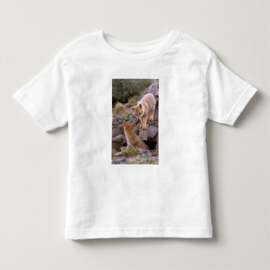 南米灰色ギツネ (Lycalopex griseus) ペア トドラーTシャツ (正面)