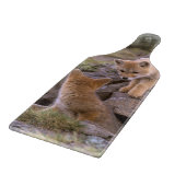 南米灰色狐 (Lycalopex griseus) ペア カッティングボード (角)