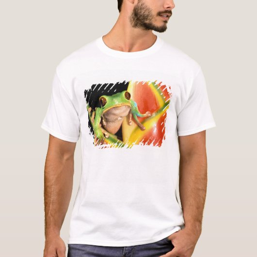 南米、エクアドル、アマゾン。アマガエル Tシャツ (正面)
