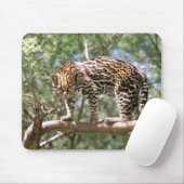 南米、エクアドル、アマゾン。オセロット マウスパッド (マウス)