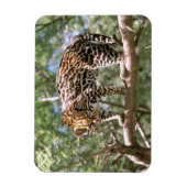 南米、エクアドル、アマゾン。オセロット マグネット (縦)