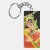 南米、エクアドル、アマゾン。ツリーフロッグ キーホルダー (正面左)