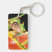 南米、エクアドル、アマゾン。ツリーフロッグ キーホルダー (裏面)