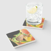 南米、エクアドル、アマゾン。ツリーフロッグ ストーンコースター (横)